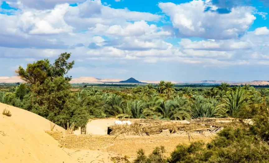 4 Days in Paradise: Unwind and Explore Siwa Oasis