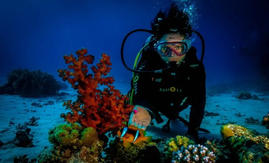 Scuba Diving Excursion in Hurghada